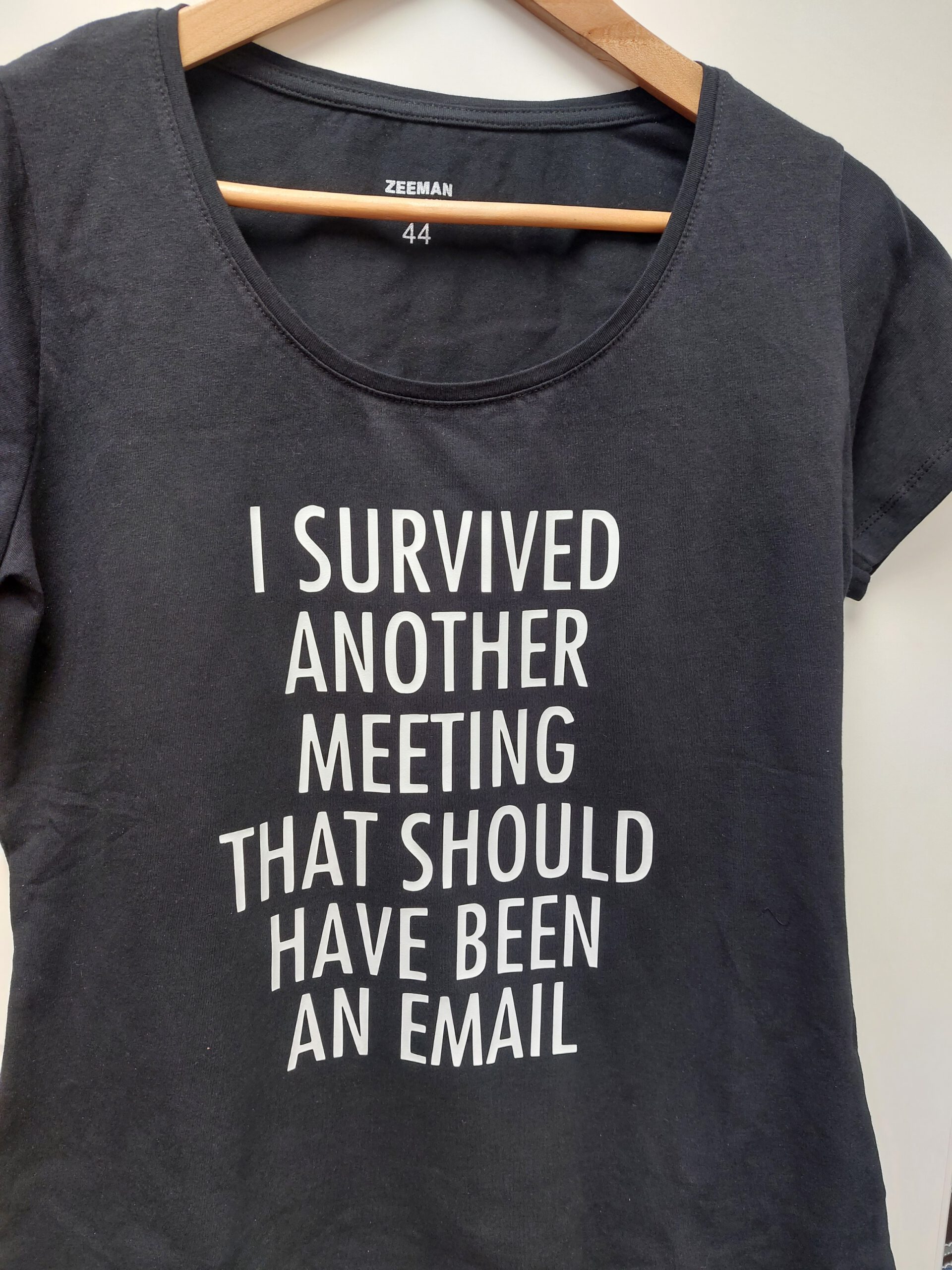 i servived another meeting that should have been an email